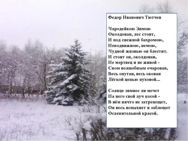 Тютчев лес. Фёдор Иванович Тютчев Чародейкою зимою. Стихотворение Тютчева Чародейкою зимою. Фёдор Тютчев стихи о зиме. Стихотворение фёдора Тютчева Чародейкою зимою.