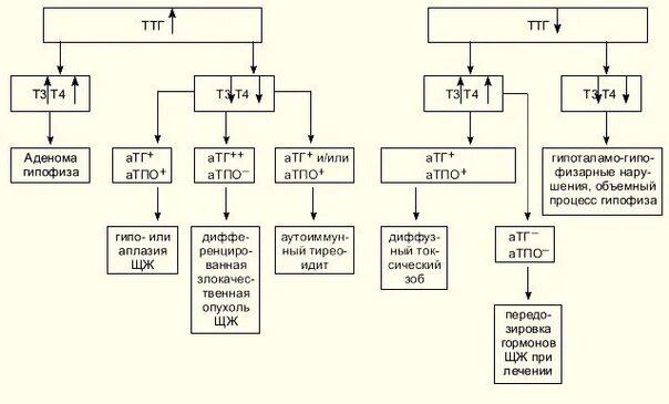 Ттг повышен вес. Схема ТТГ т3 т4. ТТГ понижен , т4, т3 понижен. Т3 т4 ТТГ дефицит. Снижен ТТГ И т4.