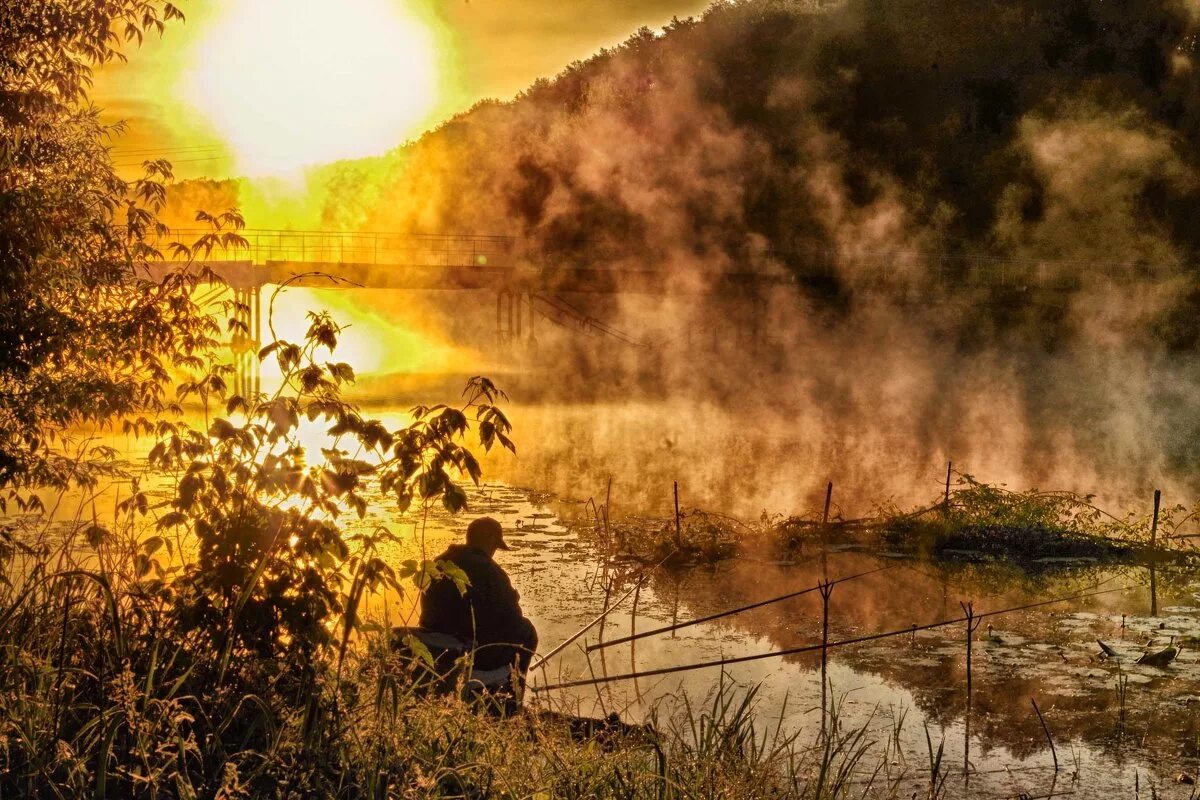 река черемха. над речкою быстрою. вечер на берегу реки. туман природа рыбалка. красивые картины.