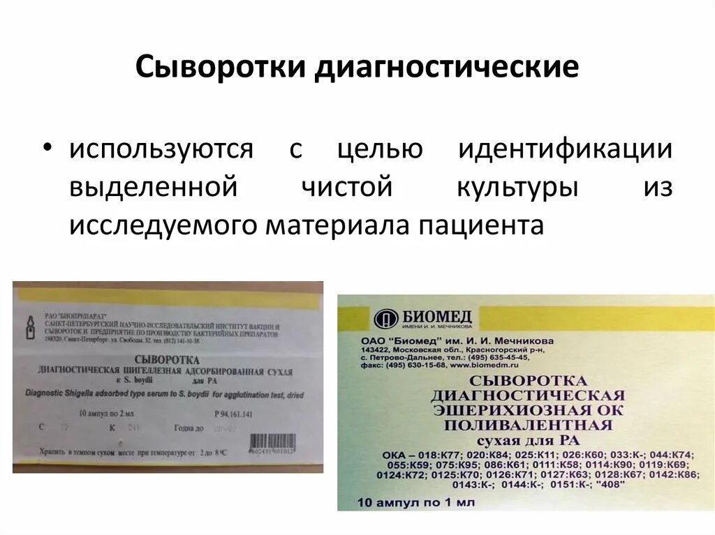 Используемых в целях идентификации в. Сыворотки эшерихиозные диагностические. поливалентная агглютинирующая эшерихиозная сыворотка. агглютинирующие сыворотки применяют для. цель идентификации выделенной чистой культуры.