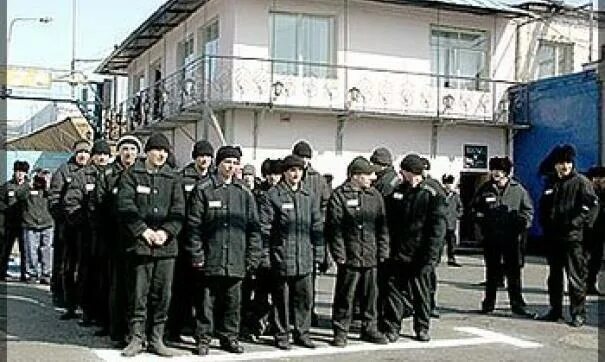 Исправительная колония 31 красноярск. Ик 5 старцево красноярск. Красноярской ик 31. Красноярской ик 31. Колония 31 в красноярске.