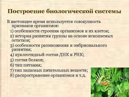 Ознакомление принципами систематики организмов