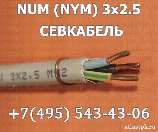 Num 3 1 5