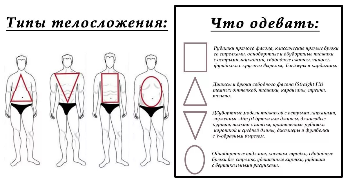 Типы мужских фигур. Типы мужского телосложения. Типажи фигуры мужчин. Тип телосложения мужчи. Калькулятор типа телосложения