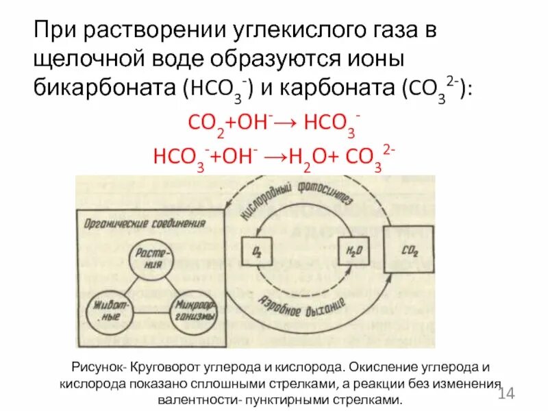 Отношение углекислого газа к воде. Растворимость углекислого газа. При растворении углекислого газа в воде образуется. Растворение углекислого газа. Растворение диоксида углерода.