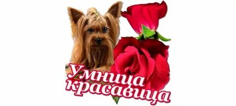 Умница красавица ты моя хорошая