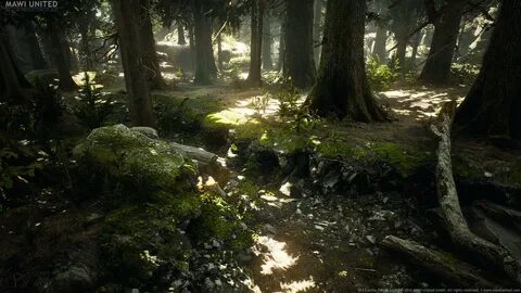 Unreal engine forest