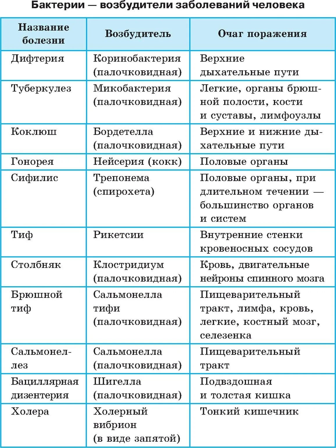 Таблица болезнетворные бактерии