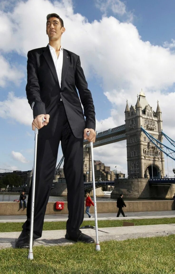 Самый большой см. Султан Кесен. Турции Султан кёсен. Самый высокий человек в мире рост. Султан кёсен самый высокий.