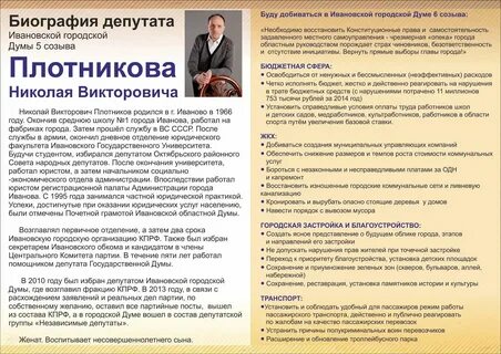 Тезисы депутата