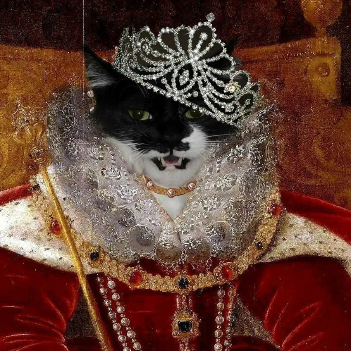 Кошечки королевы. Король кошек Ирусан. Королевский кот. Кот и Король. Кот царь.