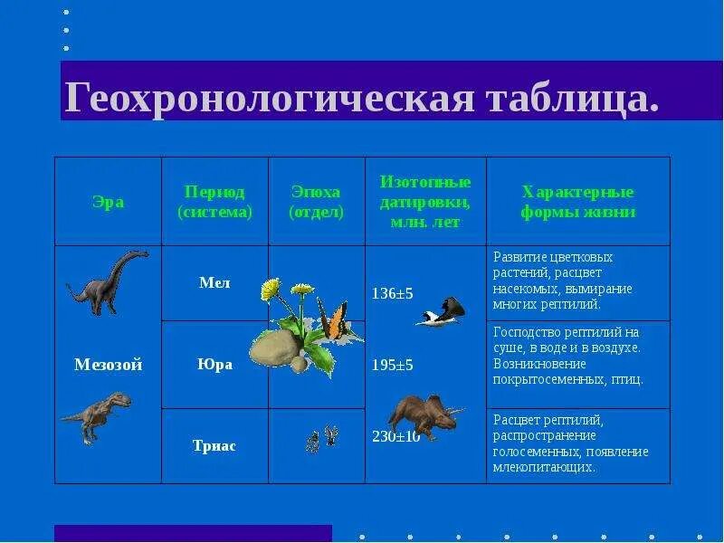 Этапы развития жизни 9 класс биология таблица. Мезозойская Эра таблица по биологии. Мезозойская Эра периоды таблица. Таблица Мезозойская Эра Триас Юра мел.