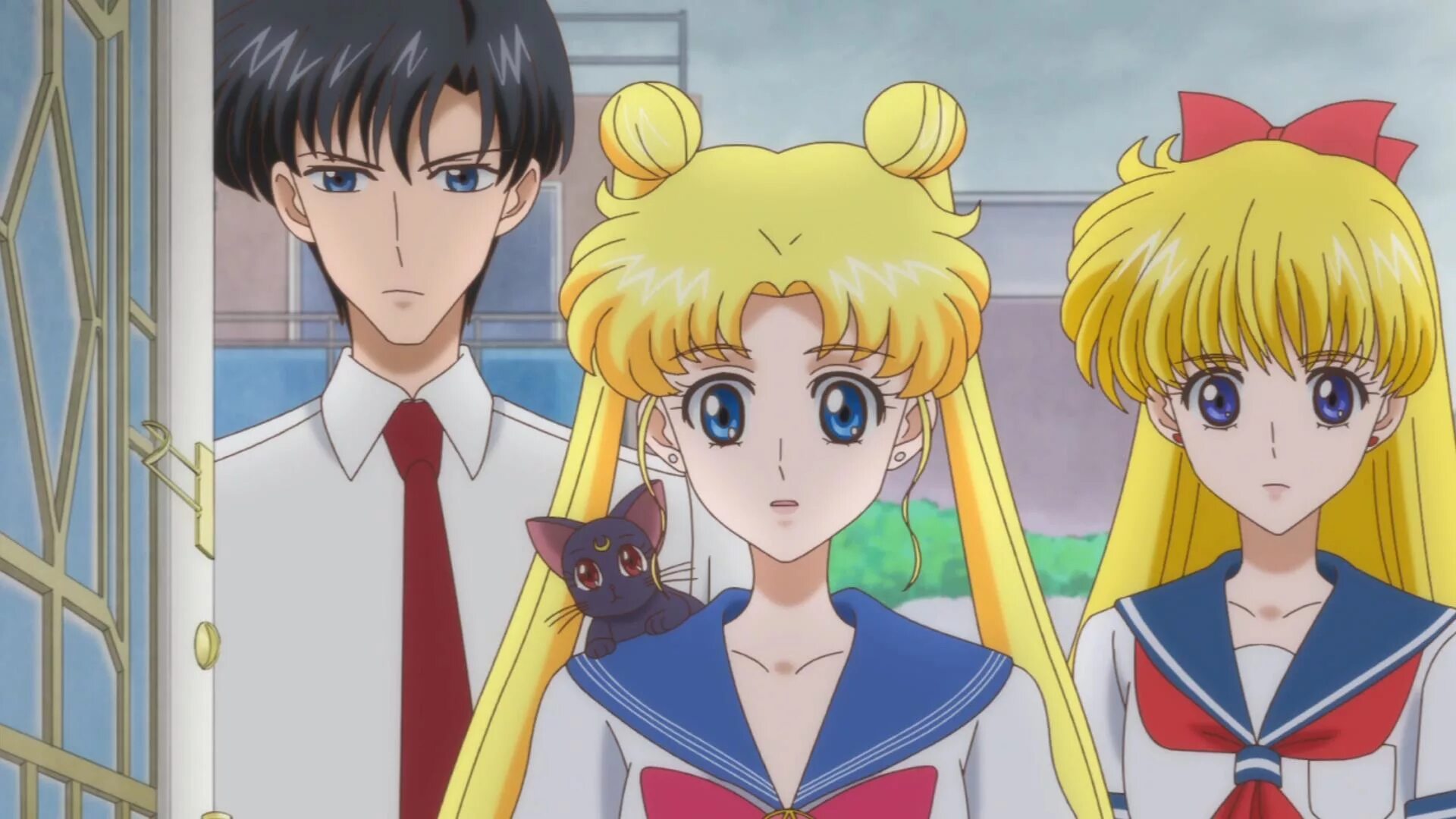 Сейлор Мун Кристалл и Мамору. Sailor Moon Crystal. Сейлормун Кристалл Мамору. Сейлормун и сейлормун Кристалл.