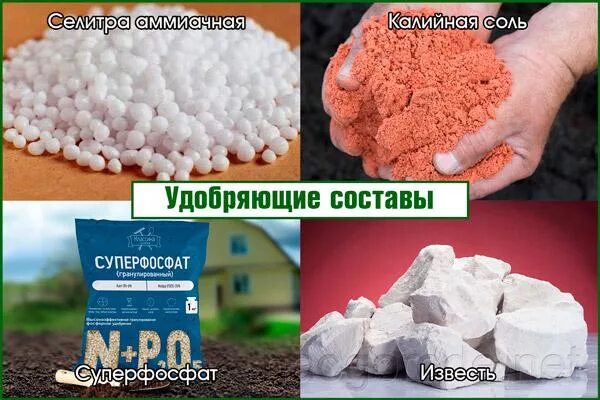 Чем отличается карбамид от селитры