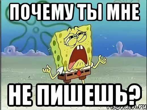 Почему ты не пишешь. Почемуб ты мне не пи шеш. Ты не пишешь. Ты пишешь мне но делаешь это без уважения. Почему не пишешь мем.