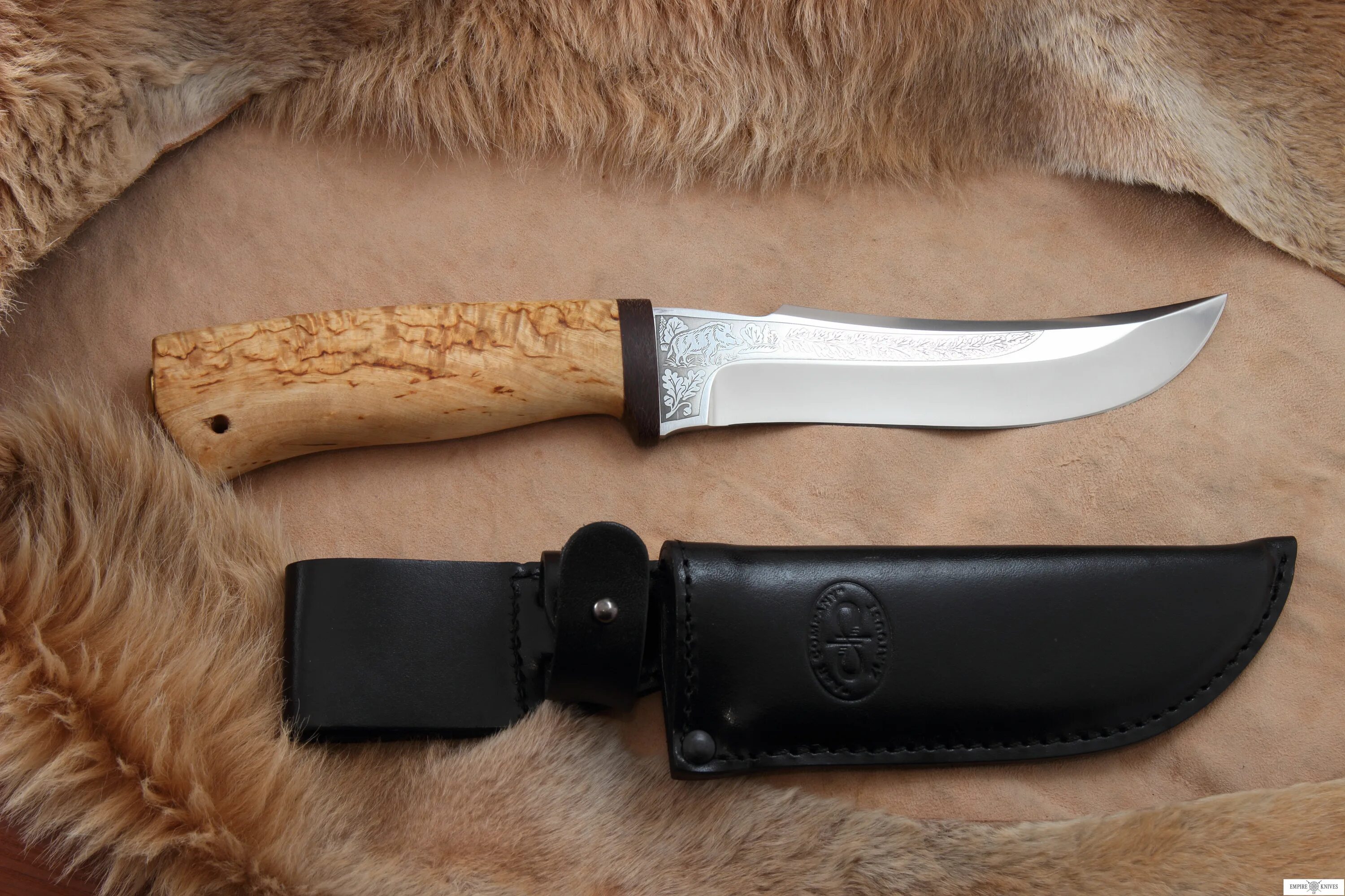 Клык моржа моржа клык. Нож клык златоуст. Кулон клык кабарги. Клык медведя. Белый клык новороссийск стоматология.