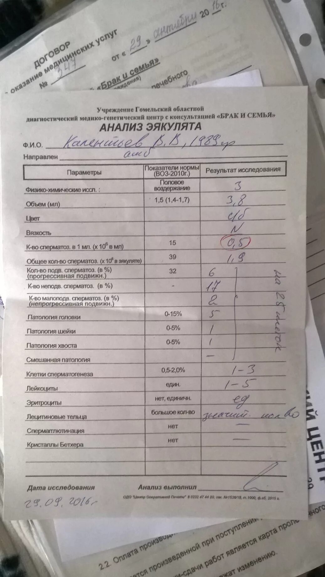 Сдача спермограммы сколько дней. Спермограмма анализ. анализ эякулята. результат анализа спермограммы. спермограмма в норме показатели.