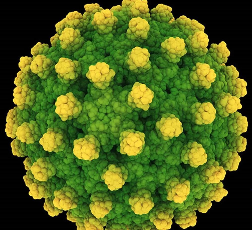 Тяжелые вирусные