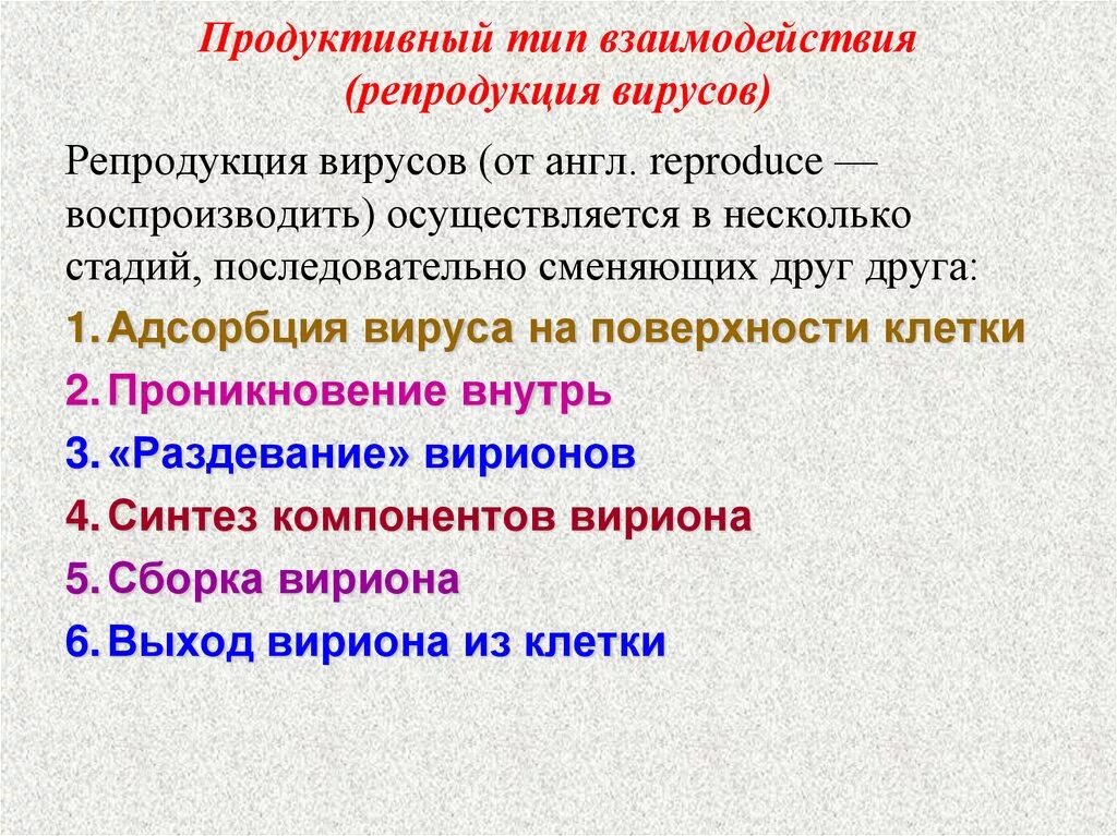 Адсорбция вируса. Репродукция вирусов продуктивный Тип. Продуктивный Тип взаимодействия. Продуктивный Тип вируса. Этапы репродукции вирусов.