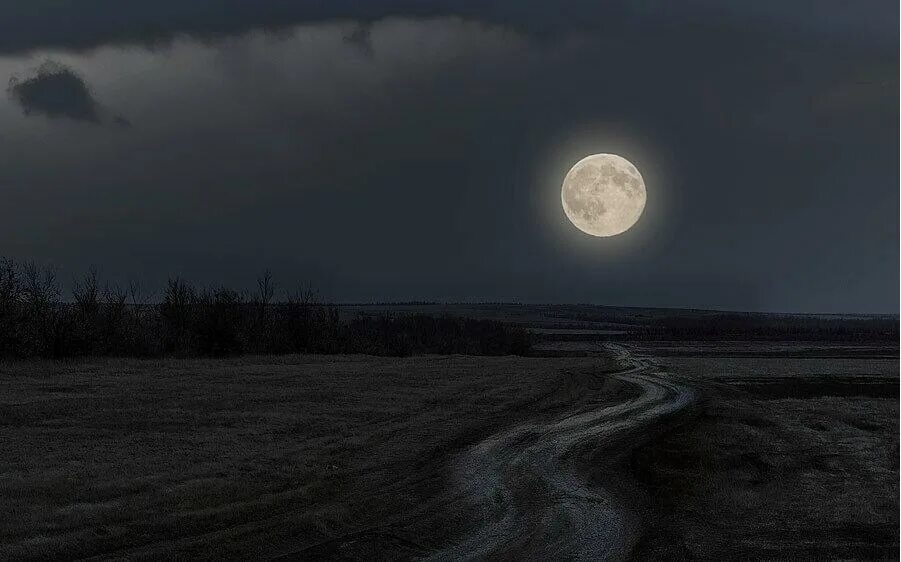 Вдали светит луна. Лунная дорога. Дорога к Луне. Ясная Луна. Луна над дорогой.