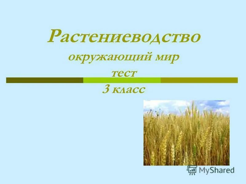 Окружающий мир тест на тему растениеводство. Растениеводство. Отрасли растениеводства. Тема Растениеводство. Растениеводство 3 класс.