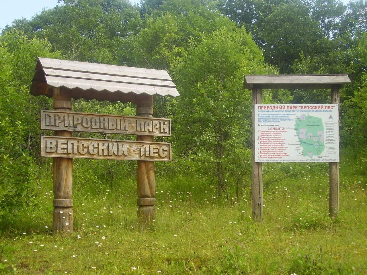 Природный парк регионального значения. Природный парк Вепсский лес Ленинградская область. Вепсский лес деревня Пашозеро. Пашозеро музей природного парка Вепсский лес. Лукинская тропа Вепсский лес.