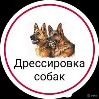 Надпись собака