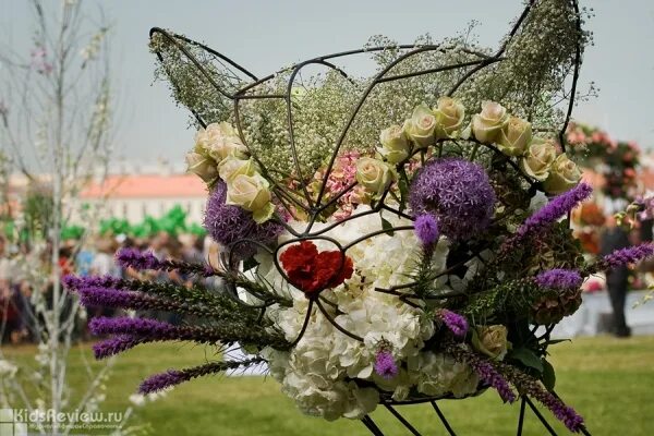 Выставка сирени в ботаническом саду 2023. Выставка садов в санкт петербурге. Ботанический сад петра великого в санкт-петербурге пионы. Выставка садов в санкт петербурге. Михайловский сад санкт-петербург.