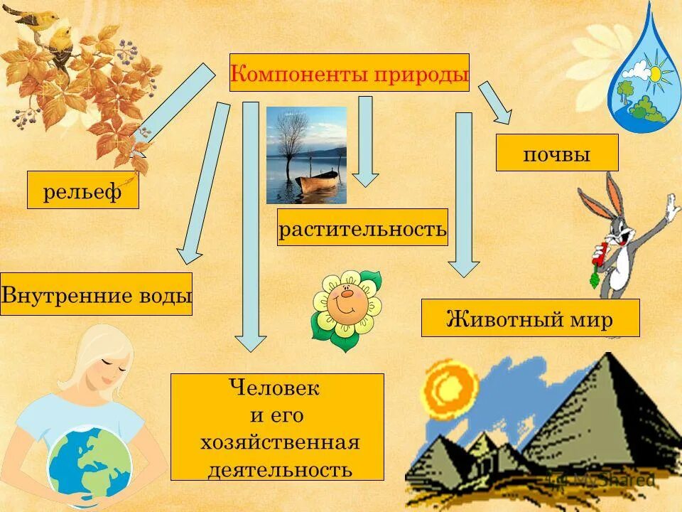 6 природных компонентов. Взаимосвязь компонентов природы. Взаимосвязь элементов природы. Основные компоненты природы. Схема воздействия компонентов природы.