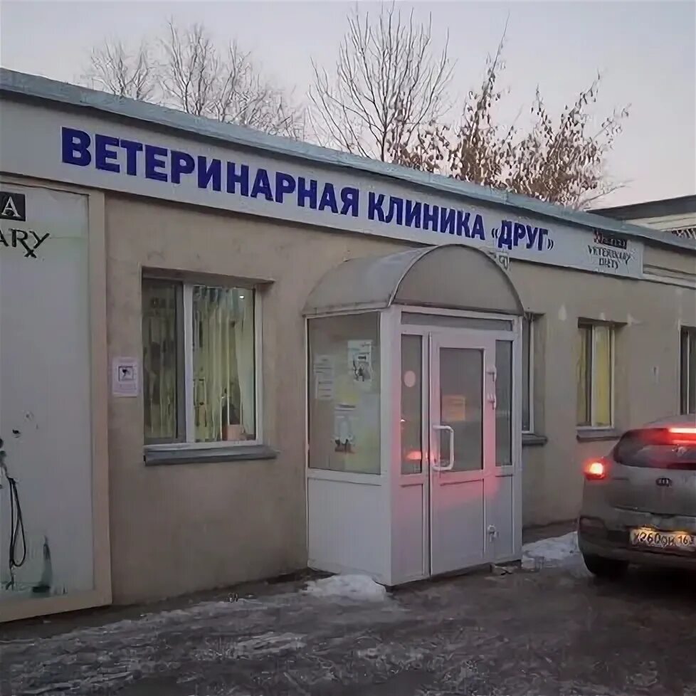 Ёжик ветклиника королев. Ветклиника друг владивосток. Ветклиника дружба королев. Конфликт в ветклинике. Ветклиника друзья белгород.