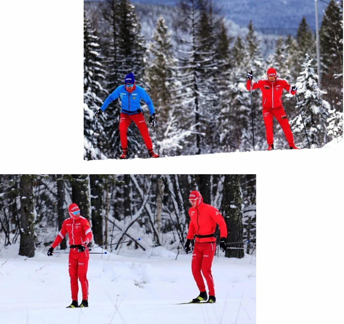 Бордовый костюм лыжной сборной. Рейтинг лучших часов для лыжников. Статодинамика лыжников сборной.