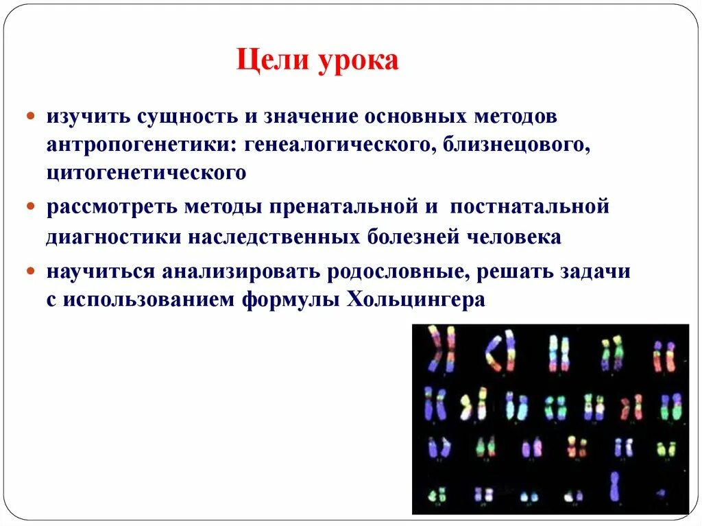 Метод антропогенетики изучающий кариотип. Методы антропогенетики цитогенетический метод. Цитогенетический метод диагностики наследственных болезней. Цитогенетический метод генетики.