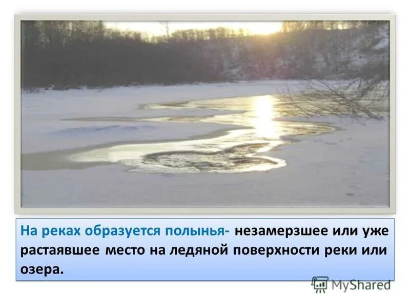 Полынья на льду. Полыньи на реке что это. Полынья значение. Полынья значение. Полынья круговые.