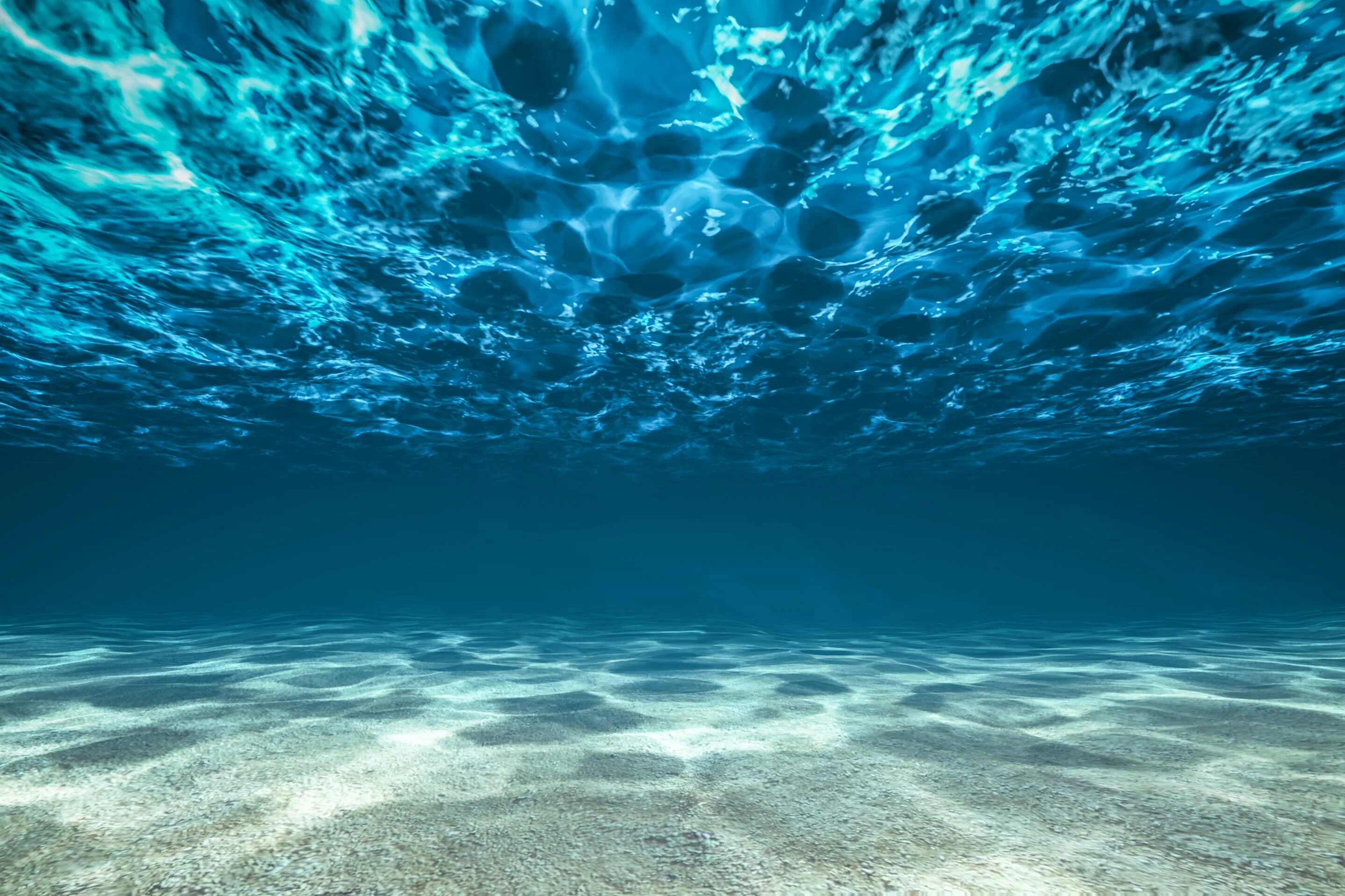Океан под водой. Дно моря. Океаны. Глубина. Дно океана.