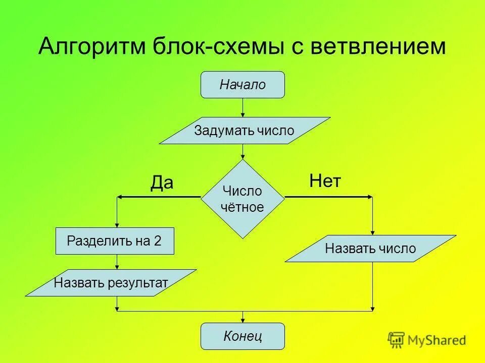 Схема разветвляющего алгоритма. Блок схема алгоритма с ветвлением. алгоритм ветвления блок-схемы примеры. блок схема алгоритма с ветвлением 8 класс. блок схема алгоритмической конструкции ветвление.