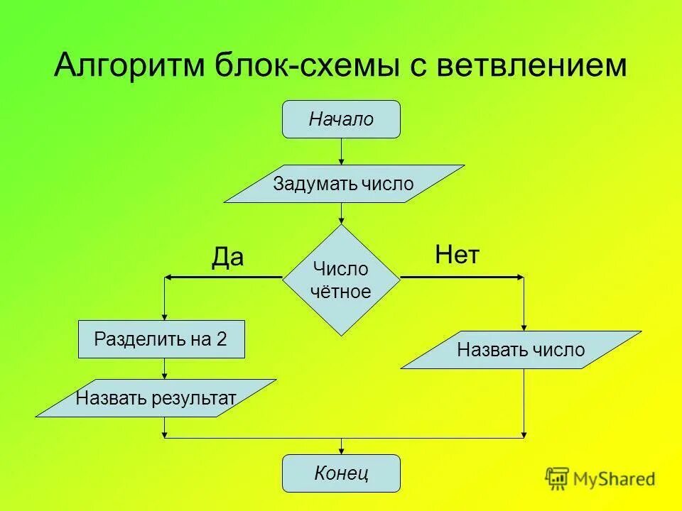 Блок схема алгоритма с ветвлением. Алгоритм ветвления блок-схемы примеры. Блок схема алгоритма с ветвлением 8 класс. Блок схема алгоритмической конструкции ветвление. Практическая работа разветвляющиеся алгоритмы