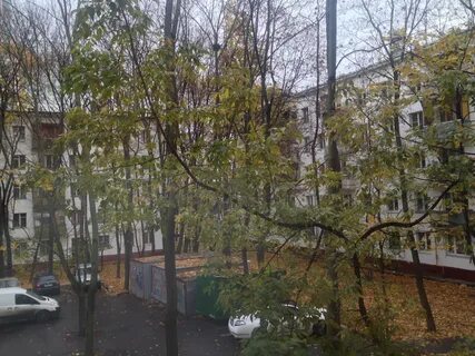 Вид из окна на 1 этаже