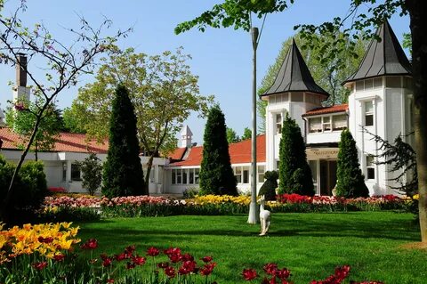 BEYKOZ KORU SOSYAL TESİSİ Sosyal Tesisler 