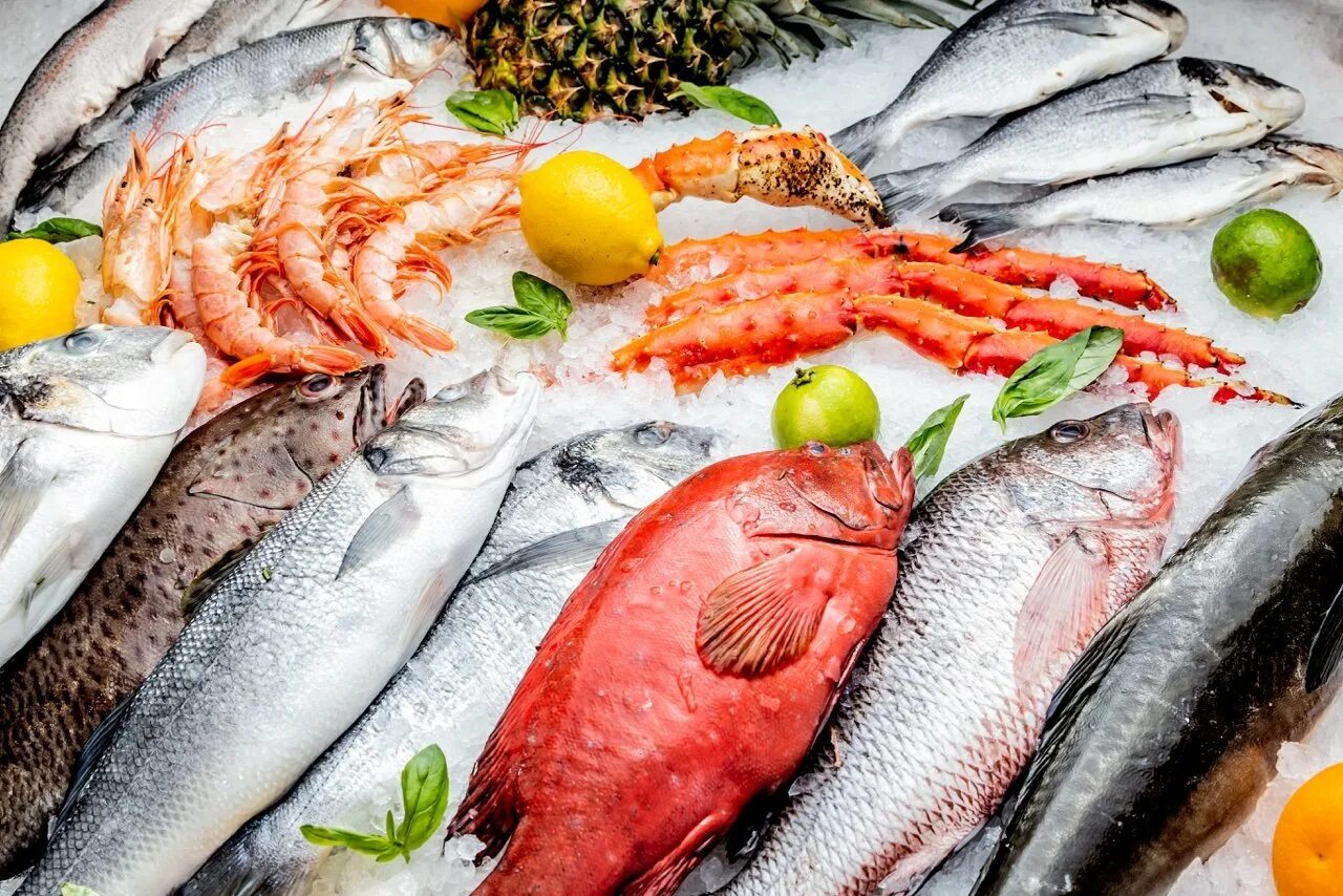 Сырая рыба много. Рыбные продукты. рыба на прилавке. свежая рыба. рыбный прилавок.