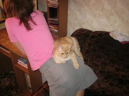 Позвал соседка