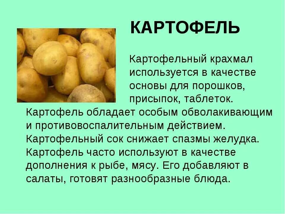 Крахмал в картошке. Полезные вещества в картофеле. Как используется картофель. Крахмал в клубнях картофеля.