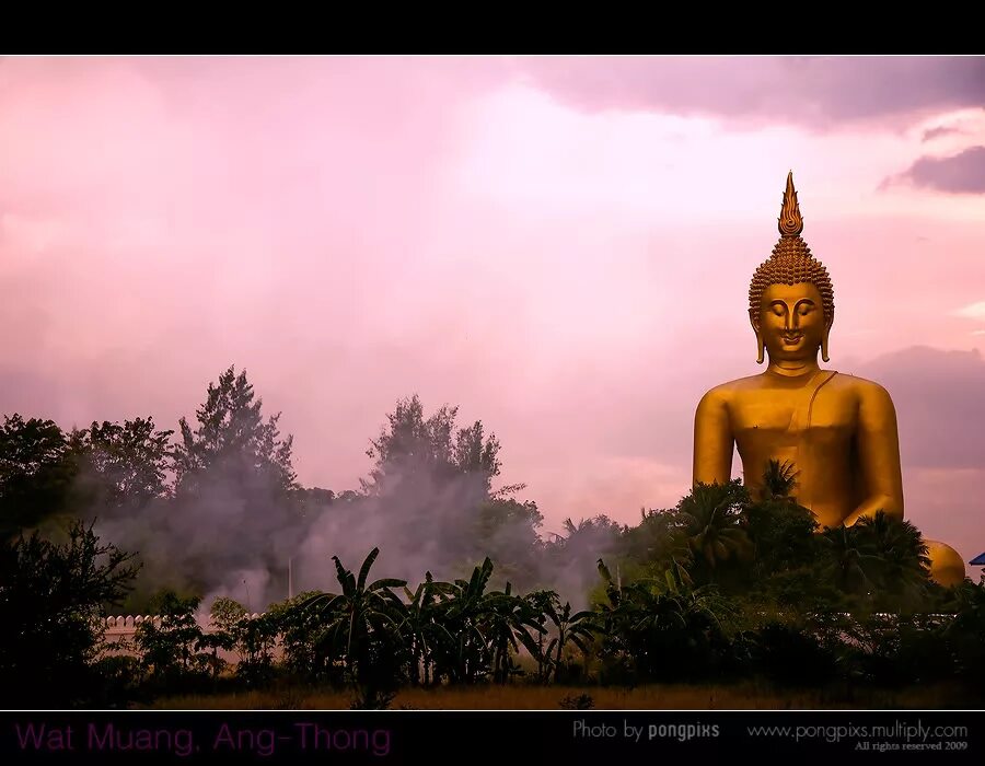 Тест будды. Таиланд Будда. Розовый Будда. Будда солнце. Весенний Будда.