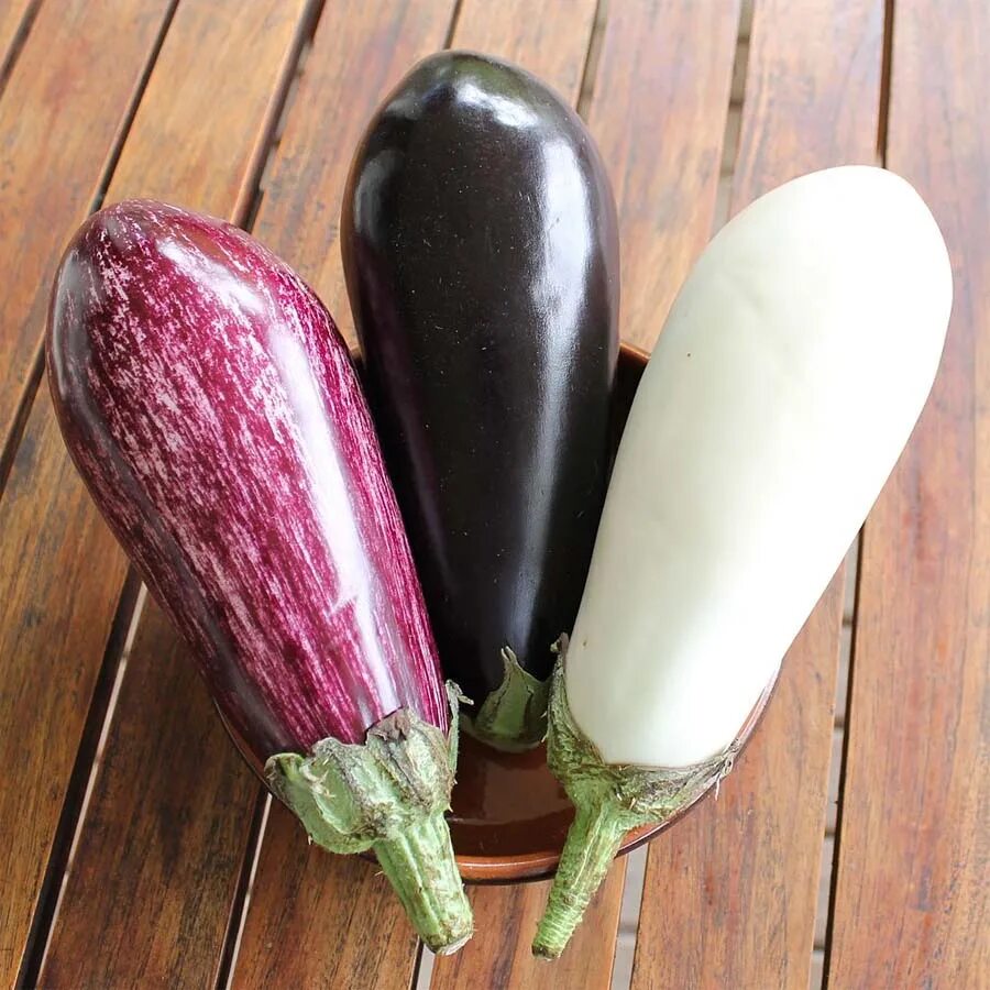 Aubergine Eggplant. Сорта баклажанов. Разные сорта баклажанов. Разноцветные сорта баклажан. Цветные баклажаны