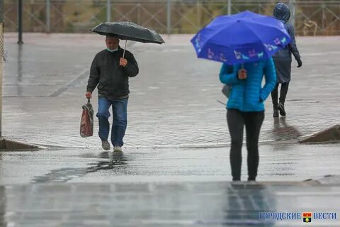 Минуты ожидается дождь