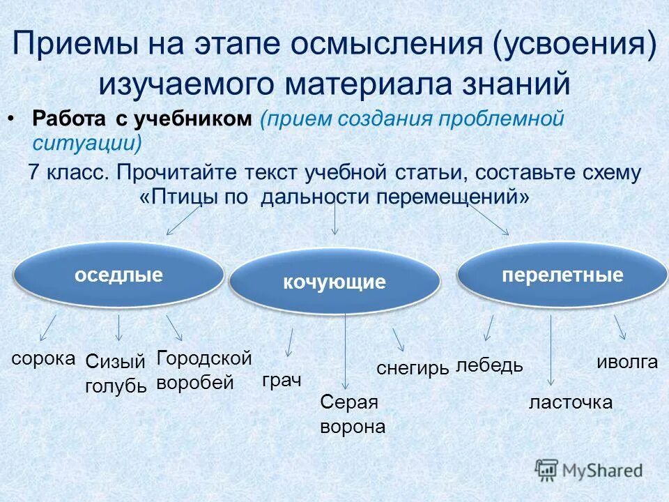 Электронный учебник необходим для. Электронные учебники доклад. Приемы осмысления материала. Осмысление изучаемого материала. Осмысление изучаемого материала.