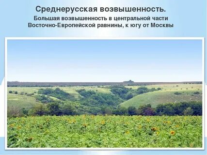 Самая высокая точка среднерусской возвышенности