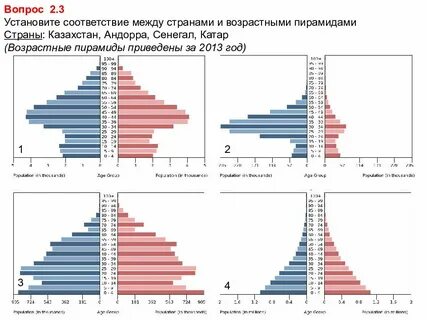 Размер полового и возрастного