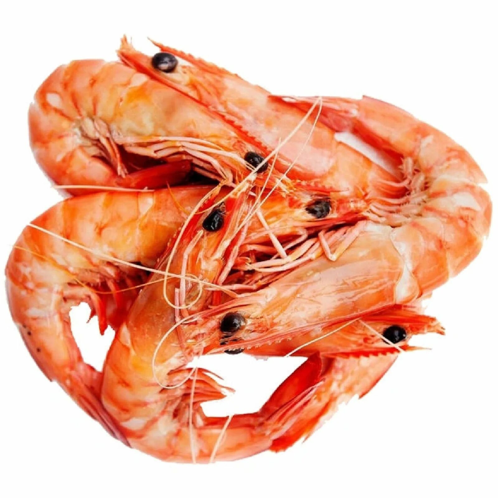 Королевские креветки замороженные. Королевские креветки эквадор. Королевские креветки замороженные неочищенные. Креветки emborg королевские 21/25 мороженые без головы в панцире 850г. Креветки королевские свежемороженые.