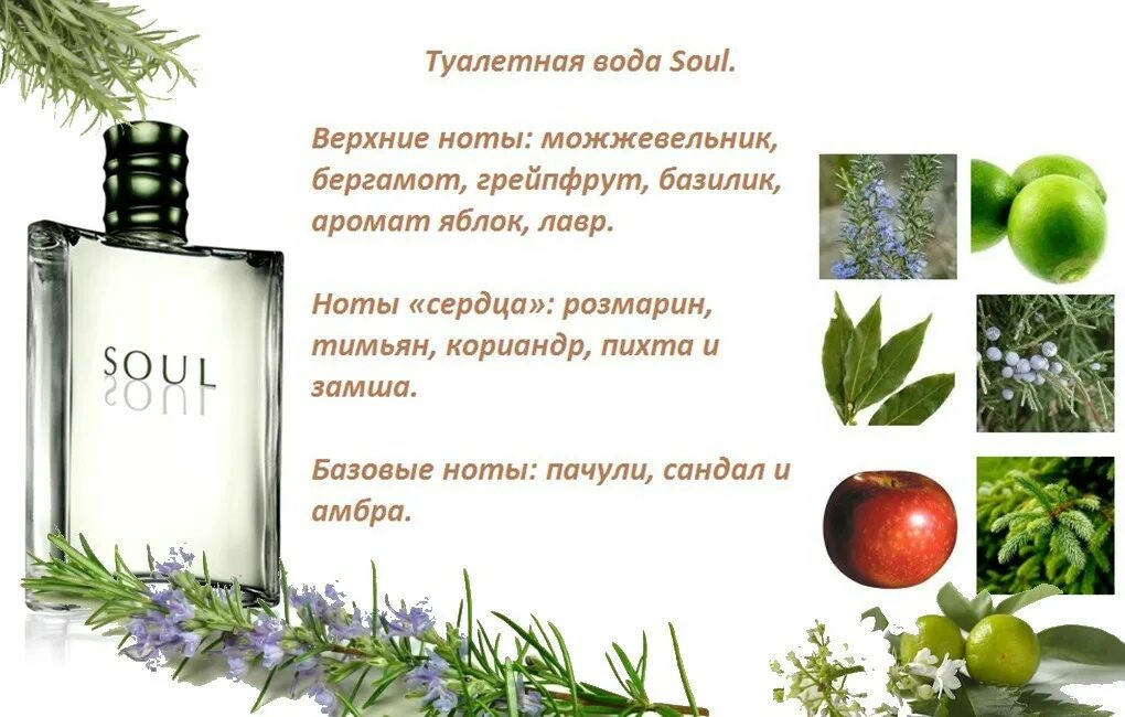 Кислые нотки в духах 6 букв