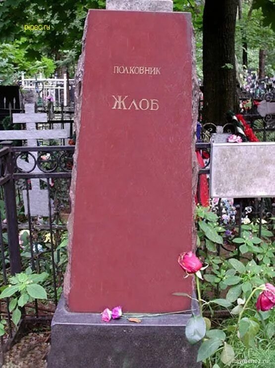 Коробка могила. Забавные надписи на могилах. Могила екатерины тимошенко. Смешные могилы. Смешные могилы.